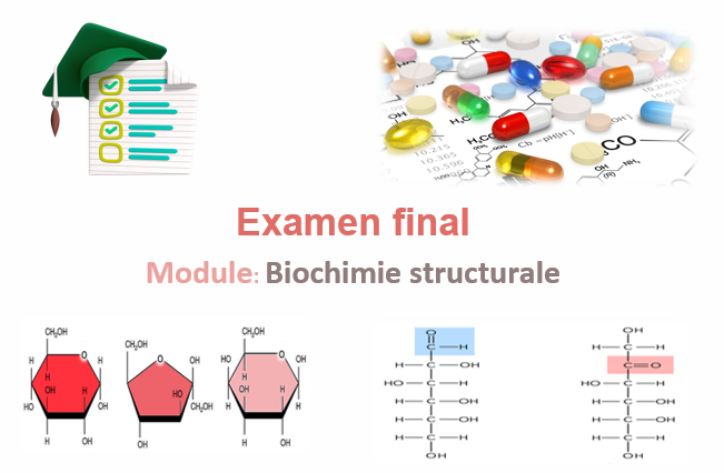 Examen 2023